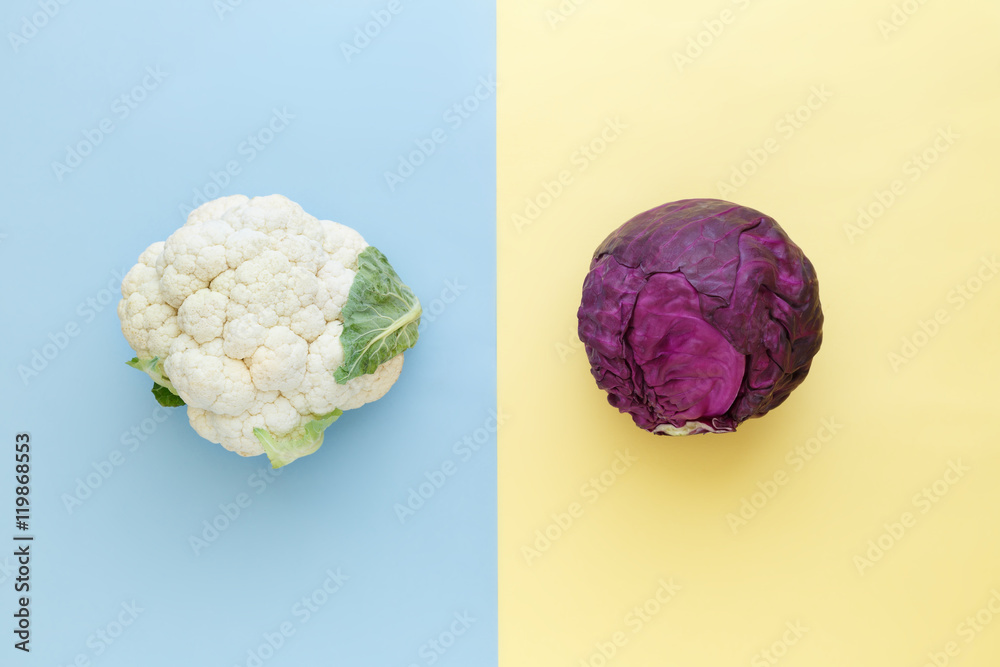 Fototapeta Cauliflower and red cabbage on