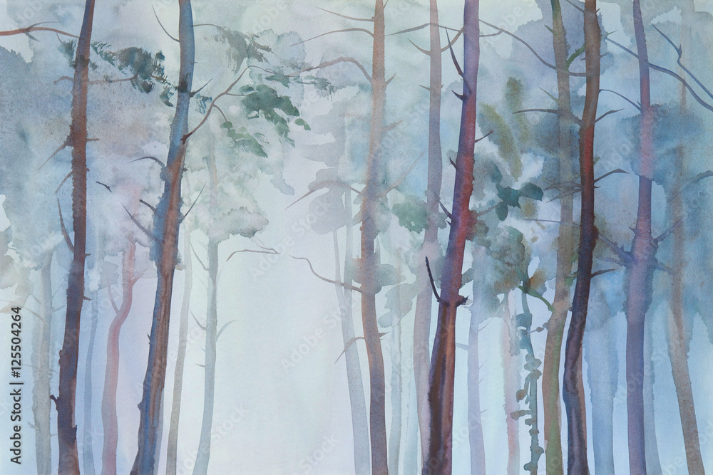 Fototapeta Foggy forest watercolor