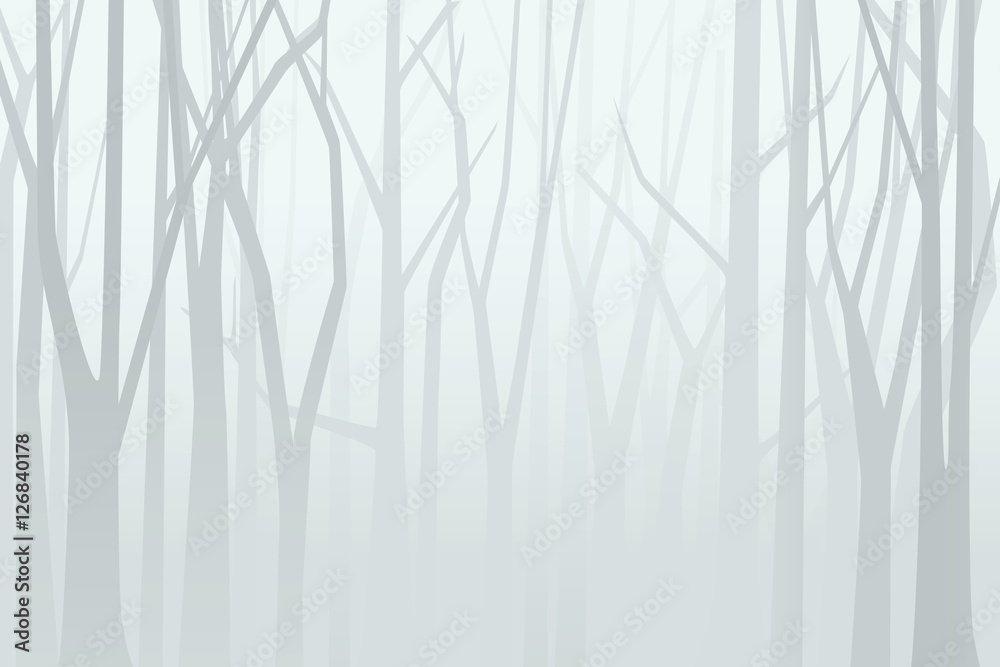 Fototapeta Foggy forest. Vector