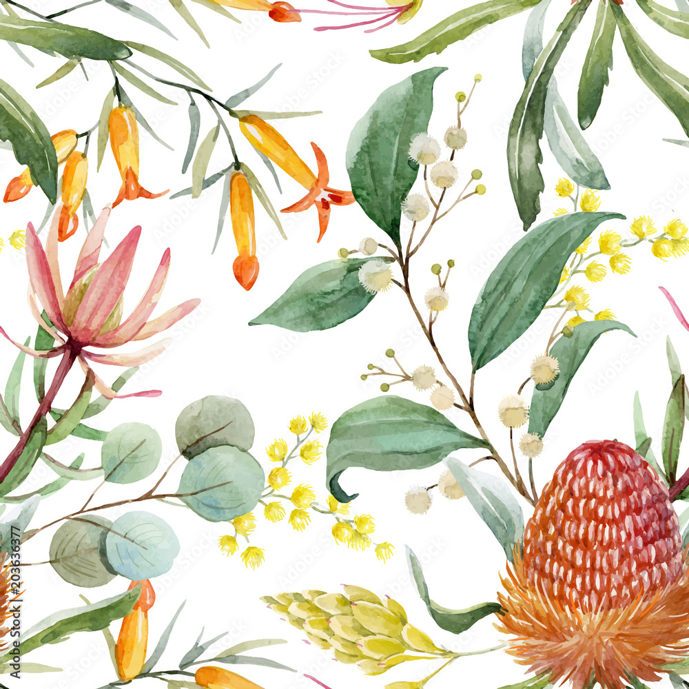 Fototapeta Watercolor australian banksia