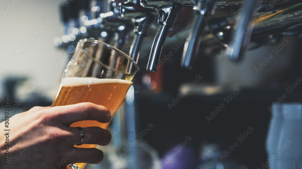 Fototapeta bartender hand at beer tap
