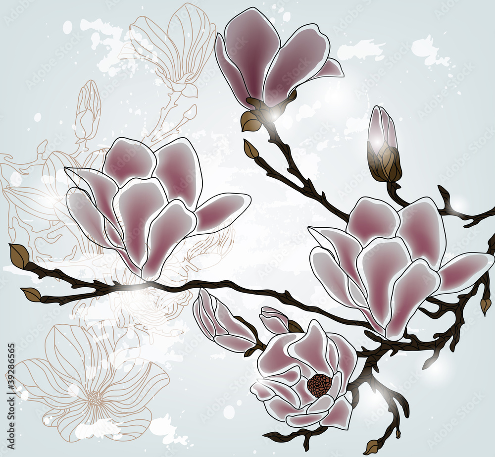 Obraz na płótnie magnolia branch