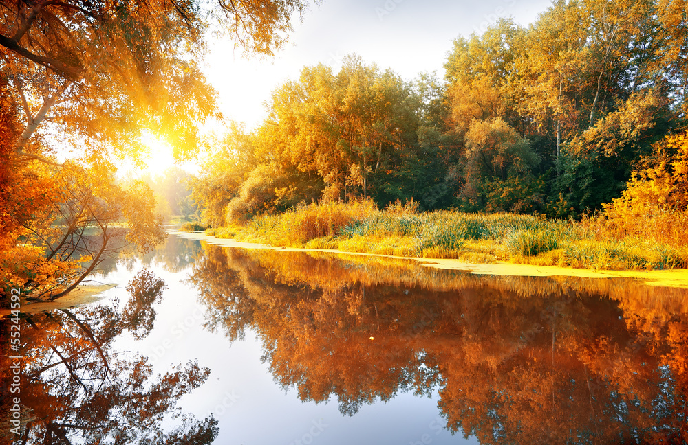 Fototapeta River in a delightful autumn