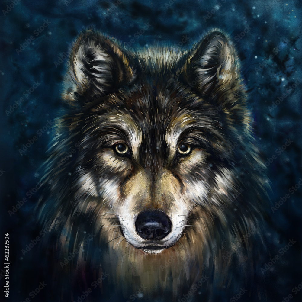 Obraz Kwadryptyk wolf front