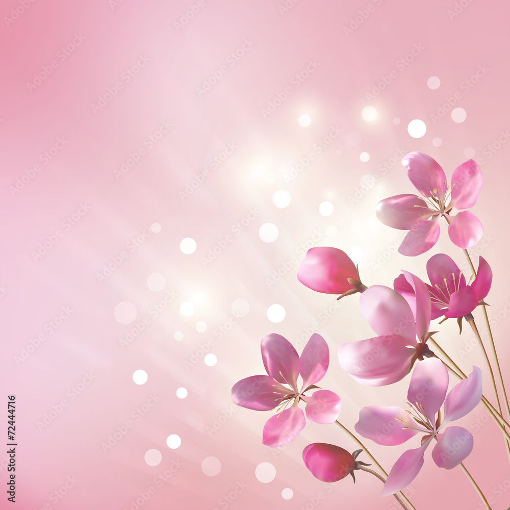 Obraz Pentaptyk Shining pink flowers